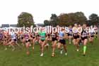 Senior Womens 2024 National Cross Country Relays, Berry Hill Park, Mansfield.   Photo: David T. Hewitson/Sports for All Pics